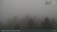 Archiv Foto Webcam Brotjacklriegel - Blick vom Aussichtsturm 10:00