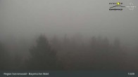 Archiv Foto Webcam Brotjacklriegel - Blick vom Aussichtsturm 12:00