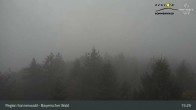 Archiv Foto Webcam Brotjacklriegel - Blick vom Aussichtsturm 14:00