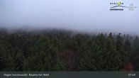 Archiv Foto Webcam Brotjacklriegel - Blick vom Aussichtsturm 07:00