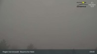 Archived image Webcam Brotjacklriegel - View from the lookout tower 08:00