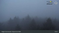 Archiv Foto Webcam Brotjacklriegel - Blick vom Aussichtsturm 02:00