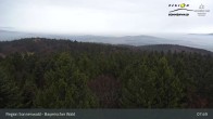 Archiv Foto Webcam Brotjacklriegel - Blick vom Aussichtsturm 07:00