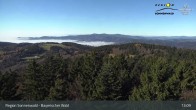 Archiv Foto Webcam Brotjacklriegel - Blick vom Aussichtsturm 12:00