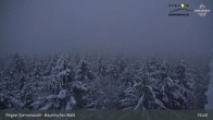 Archiv Foto Webcam Brotjacklriegel - Blick vom Aussichtsturm 02:00