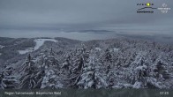 Archiv Foto Webcam Brotjacklriegel - Blick vom Aussichtsturm 06:00