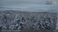 Archiv Foto Webcam Brotjacklriegel - Blick vom Aussichtsturm 07:00