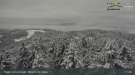 Archiv Foto Webcam Brotjacklriegel - Blick vom Aussichtsturm 10:00