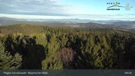 Archiv Foto Webcam Brotjacklriegel - Blick vom Aussichtsturm 08:00