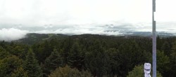 Archiv Foto Webcam Aussichtsturm am Brotjacklriegel 08:00