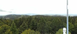 Archiv Foto Webcam Aussichtsturm am Brotjacklriegel 11:00