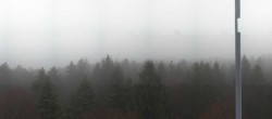 Archiv Foto Webcam Aussichtsturm am Brotjacklriegel 11:00