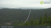 Archiv Foto Webcam Dolni Morava - U Slona Sesselbahn 08:00
