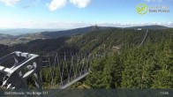 Archiv Foto Webcam Dolni Morava - U Slona Sesselbahn 12:00