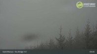 Archived image Webcam Dolni Morava - U Slona Chairlift 08:00