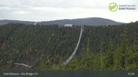 Archived image Webcam Dolni Morava - U Slona Chairlift 14:00