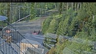 Archived image Webcam Willingen: Trail at Ski Jumping Area 06:00