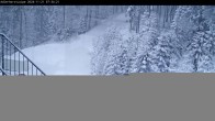 Archived image Webcam Willingen: Trail at Ski Jumping Area 07:00