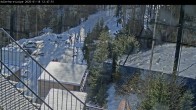 Archiv Foto Webcam Willingen: Adlerhorst Loipe 11:00