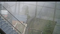 Archived image Webcam Willingen: Trail at Ski Jumping Area 06:00