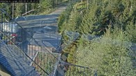 Archiv Foto Webcam Willingen: Adlerhorst Loipe 05:00