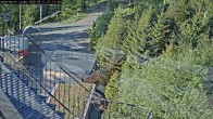 Archiv Foto Webcam Willingen: Adlerhorst Loipe 06:00