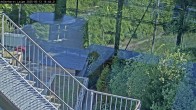 Archiv Foto Webcam Willingen: Adlerhorst Loipe 15:00