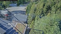 Archiv Foto Webcam Willingen: Adlerhorst Loipe 07:00