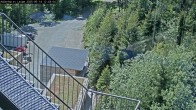 Archiv Foto Webcam Willingen: Adlerhorst Loipe 11:00