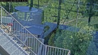 Archived image Webcam Willingen: Trail at Ski Jumping Area 15:00