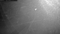Archiv Foto Webcam Willingen: Adlerhorst Loipe 01:00