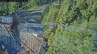 Archiv Foto Webcam Willingen: Adlerhorst Loipe 05:00