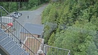 Archiv Foto Webcam Willingen: Adlerhorst Loipe 11:00