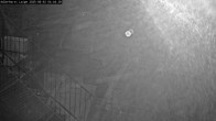 Archiv Foto Webcam Willingen: Adlerhorst Loipe 03:00