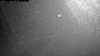 Archiv Foto Webcam Willingen: Adlerhorst Loipe 01:00