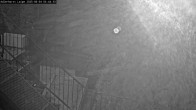 Archiv Foto Webcam Willingen: Adlerhorst Loipe 03:00