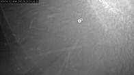 Archiv Foto Webcam Willingen: Adlerhorst Loipe 23:00