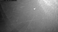 Archiv Foto Webcam Willingen: Adlerhorst Loipe 01:00