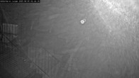 Archiv Foto Webcam Willingen: Adlerhorst Loipe 03:00