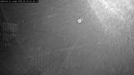 Archiv Foto Webcam Willingen: Adlerhorst Loipe 03:00