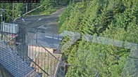 Archived image Webcam Willingen: Trail at Ski Jumping Area 05:00
