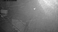 Archived image Webcam Willingen: Trail at Ski Jumping Area 03:00
