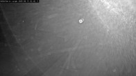 Archiv Foto Webcam Willingen: Adlerhorst Loipe 01:00