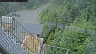 Archiv Foto Webcam Willingen: Adlerhorst Loipe 11:00