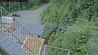 Archiv Foto Webcam Willingen: Adlerhorst Loipe 13:00