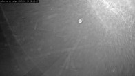 Archiv Foto Webcam Willingen: Adlerhorst Loipe 01:00
