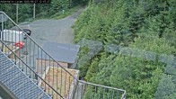 Archiv Foto Webcam Willingen: Adlerhorst Loipe 11:00