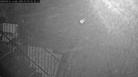 Archiv Foto Webcam Willingen: Adlerhorst Loipe 03:00