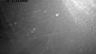 Archiv Foto Webcam Willingen: Adlerhorst Loipe 23:00