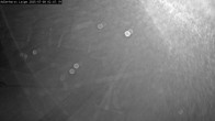 Archiv Foto Webcam Willingen: Adlerhorst Loipe 01:00